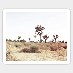 Cacti, Desert, Landscape, Sky, Nature print Sticker